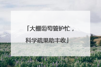 大棚葡萄管护忙，科学疏果助丰收