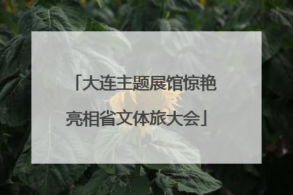 大连主题展馆惊艳亮相省文体旅大会