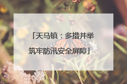 天马镇：多措并举筑牢防汛安全屏障