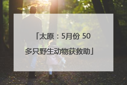 太原：5月份 50多只野生动物获救助