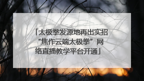 太极拳发源地再出实招 “焦作云端太极拳”网络直播教学平台开通