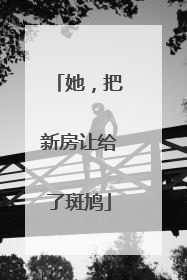 她，把新房让给了斑鸠