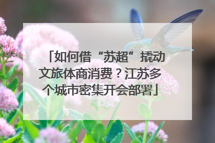 如何借“苏超”撬动文旅体商消费？江苏多个城市密集开会部署