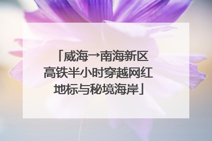 威海→南海新区 高铁半小时穿越网红地标与秘境海岸