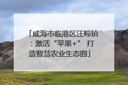 威海市临港区汪疃镇：激活“苹果+” 打造智慧农业生态圈