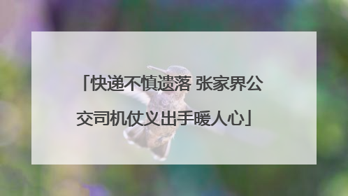 快递不慎遗落 张家界公交司机仗义出手暖人心