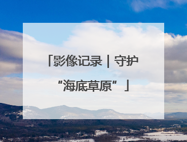 影像记录｜守护“海底草原”