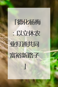 德化杨梅：以立体农业打通共同富裕新路子