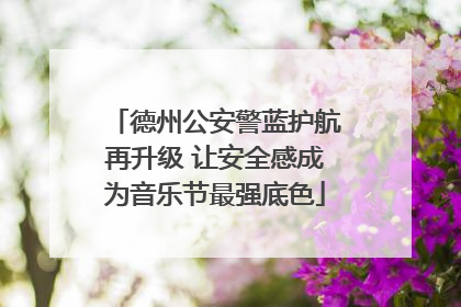 德州公安警蓝护航再升级 让安全感成为音乐节最强底色