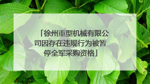 徐州重型机械有限公司因存在违规行为被暂停全军采购资格