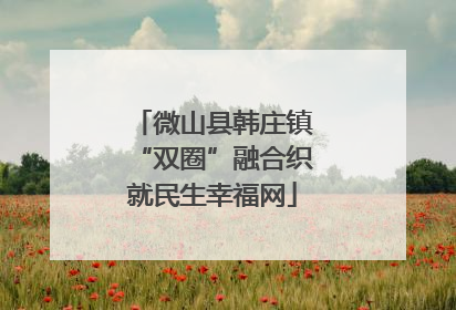 微山县韩庄镇“双圈”融合织就民生幸福网