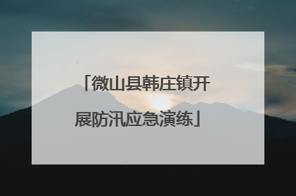 微山县韩庄镇开展防汛应急演练