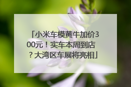 小米车模黄牛加价300元！实车本周到店？大湾区车展将亮相