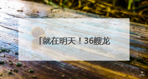 就在明天！36艘龙舟决战监北干渠！
