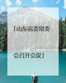 山东省委常委会召开会议