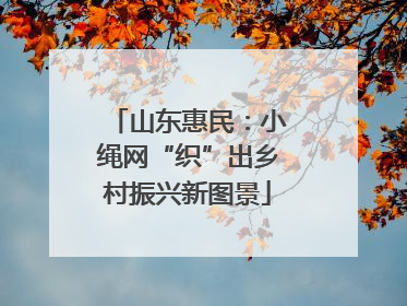 山东惠民：小绳网“织”出乡村振兴新图景