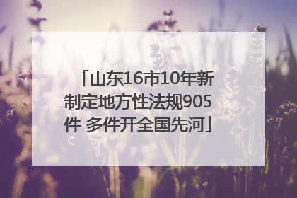 山东16市10年新制定地方性法规905件 多件开全国先河
