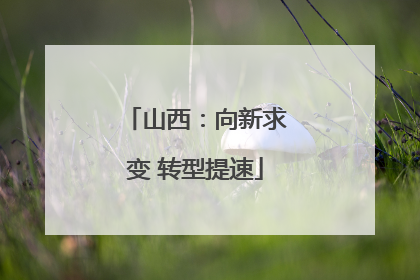 山西：向新求变 转型提速