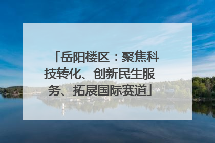 岳阳楼区：聚焦科技转化、创新民生服务、拓展国际赛道