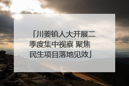 川姜镇人大开展二季度集中视察 聚焦民生项目落地见效