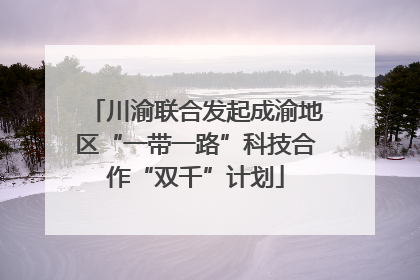 川渝联合发起成渝地区“一带一路”科技合作“双千”计划