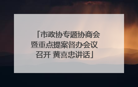 市政协专题协商会暨重点提案督办会议召开 黄喜忠讲话