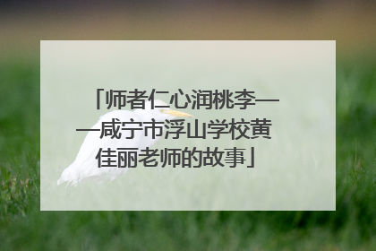 师者仁心润桃李——咸宁市浮山学校黄佳丽老师的故事