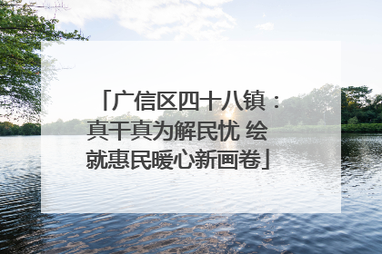 广信区四十八镇：真干真为解民忧 绘就惠民暖心新画卷
