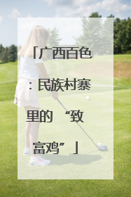 广西百色：民族村寨里的 “致富鸡”