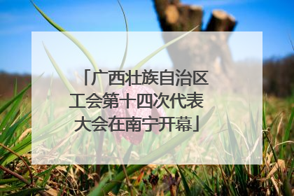 广西壮族自治区工会第十四次代表大会在南宁开幕