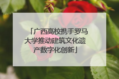 广西高校携手罗马大学推动建筑文化遗产数字化创新