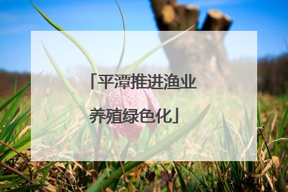 平潭推进渔业养殖绿色化