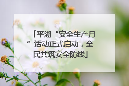 平湖“安全生产月”活动正式启动，全民共筑安全防线
