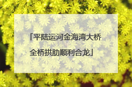 平陆运河金海湾大桥全桥拱肋顺利合龙