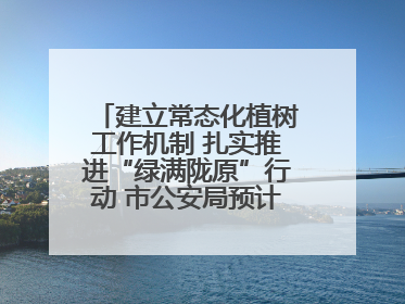 建立常态化植树工作机制 扎实推进“绿满陇原”行动 市公安局预计年底前完成1402亩绿化任务