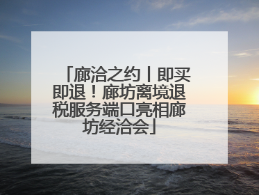 廊洽之约丨即买即退！廊坊离境退税服务端口亮相廊坊经洽会