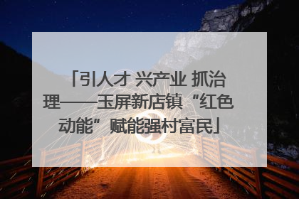 引人才 兴产业 抓治理——玉屏新店镇“红色动能”赋能强村富民