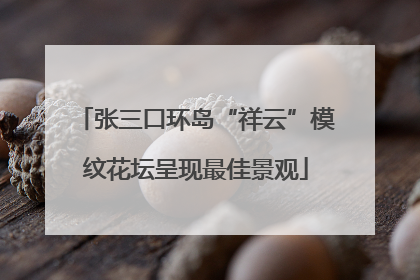 张三口环岛“祥云”模纹花坛呈现最佳景观