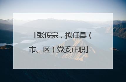 张传宗，拟任县（市、区）党委正职