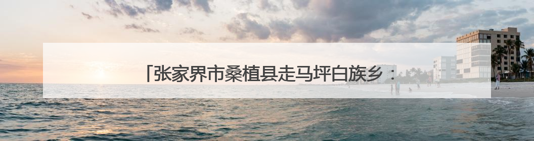 张家界市桑植县走马坪白族乡：“三个保障”筑牢防汛安全堤
