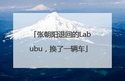 张朝阳退回的Labubu，换了一辆车