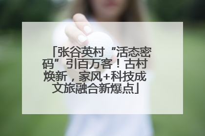 张谷英村“活态密码”引百万客！古村焕新，家风+科技成文旅融合新爆点