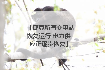 捷克所有变电站恢复运行 电力供应正逐步恢复