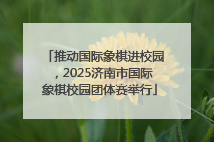 推动国际象棋进校园，2025济南市国际象棋校园团体赛举行