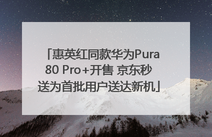 惠英红同款华为Pura 80 Pro+开售 京东秒送为首批用户送达新机