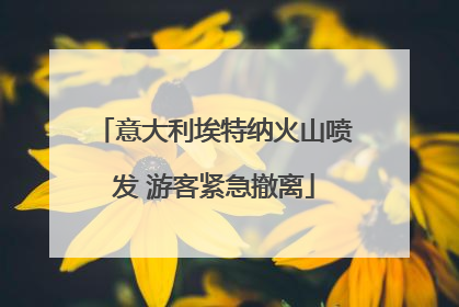 意大利埃特纳火山喷发 游客紧急撤离