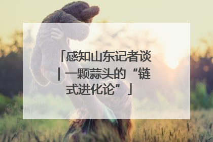 感知山东记者谈｜一颗蒜头的“链式进化论”
