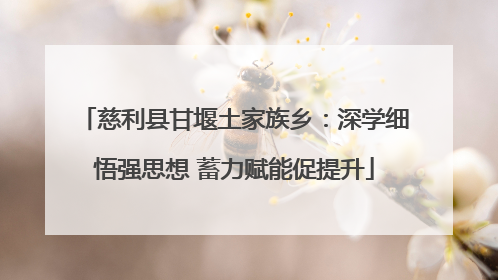 慈利县甘堰土家族乡：深学细悟强思想 蓄力赋能促提升