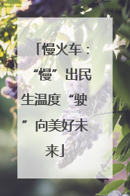 慢火车：“慢”出民生温度“驶”向美好未来