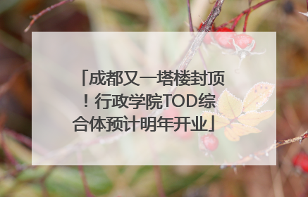 成都又一塔楼封顶！行政学院TOD综合体预计明年开业